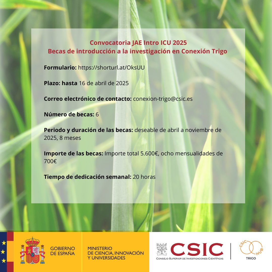TrigoHubCSIC (@trigohubcsic) on Twitter photo ⏱️Ampliado el plazo para solicitar una beca de introducción a la investigación #JAEIntro25 para estudiantes universitari@s. Solicita las becas de
<a href="/TrigoHubCSIC/">TrigoHubCSIC</a> hasta el 25 de abril
Revisa y elige el plan de formación que más se ajuste a tus intereses 🌐shorturl.at/WzJ1F ⏱️Ampliado el plazo para solicitar una beca de introducción a la investigación #JAEIntro25 para estudiantes universitari@s. Solicita las becas de
<a href="/TrigoHubCSIC/">TrigoHubCSIC</a> hasta el 25 de abril
Revisa y elige el plan de formación que más se ajuste a tus intereses 🌐shorturl.at/WzJ1F