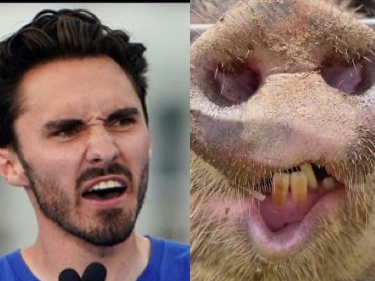 Chuckā”ļøShazamā”ļøBartowski (@moc5__) on Twitter photo Why does <a href="/davidhogg111/">David Hogg š§</a> always look like a hog snort?
#PutThatInYourPipe
@patunleashed
<a href="/KeithMalinak/">Just Keith</a> <a href="/JeffyJFR/">Jeffy</a> <a href="/realKrisCruz/">Kris Cruz</a> Why does <a href="/davidhogg111/">David Hogg š§</a> always look like a hog snort?
#PutThatInYourPipe
@patunleashed
<a href="/KeithMalinak/">Just Keith</a> <a href="/JeffyJFR/">Jeffy</a> <a href="/realKrisCruz/">Kris Cruz</a>