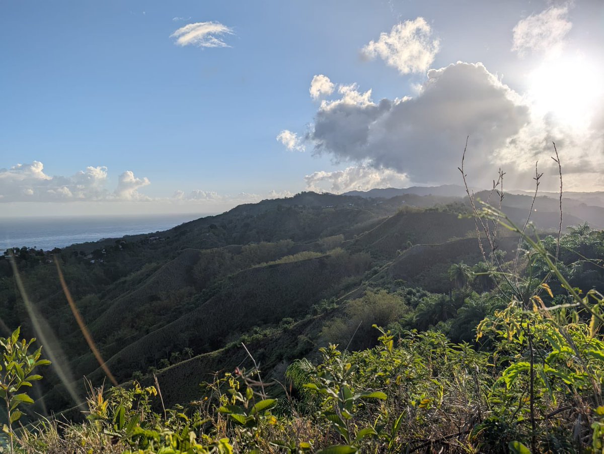 Early morning hike checking out MayMountainbikeMadness Enduro course. 

#tobago #islandlife #hiking #nature #mtb #enduro