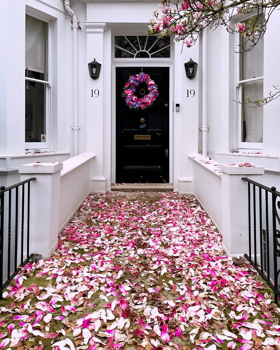 saintzation028's tweet image. ~ and in a blink of an eye.. Magnolia Season is over!🌺

ไม่ทันถึง 2 weeks แม็กโนเลียก็ทิ้งกลีบร่วงโรยซะแล้ว แม้ช่วงที่บานจะไม่นานเลย แต่ก็เป็นช่วงเวลาที่งดงามที่สุด

มีพบก็ต้องมีจากลา เป็นธรรมดาของธรรมชาติและชีวิต
จนกว่าเราจะพบกันใหม่

#magnoliaseason
#springinlondon
#springvibe