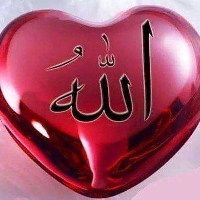 This article provides valuable insights. I can't thank you enough for all you've shared. Thank you. Linnea Saide