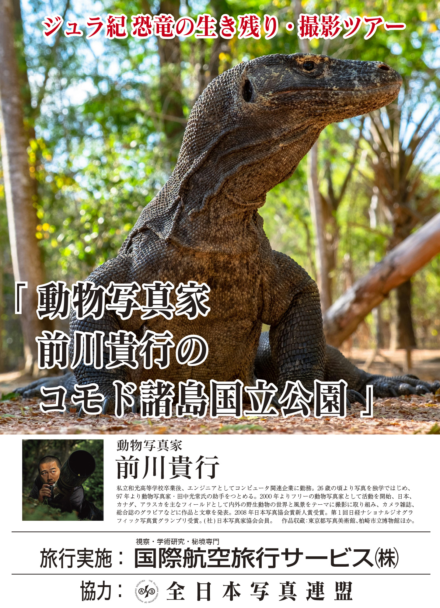 第一線で活躍する動物写真家が撮影裏話を綴った 前川貴行『動物
