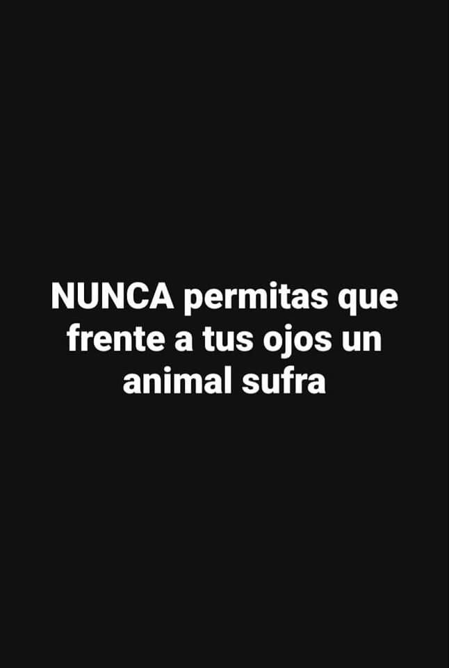 gllgina1's tweet photo. No lo permitas.. su voz es la de todos 🐾 https://t.co/jG9iXhau3g