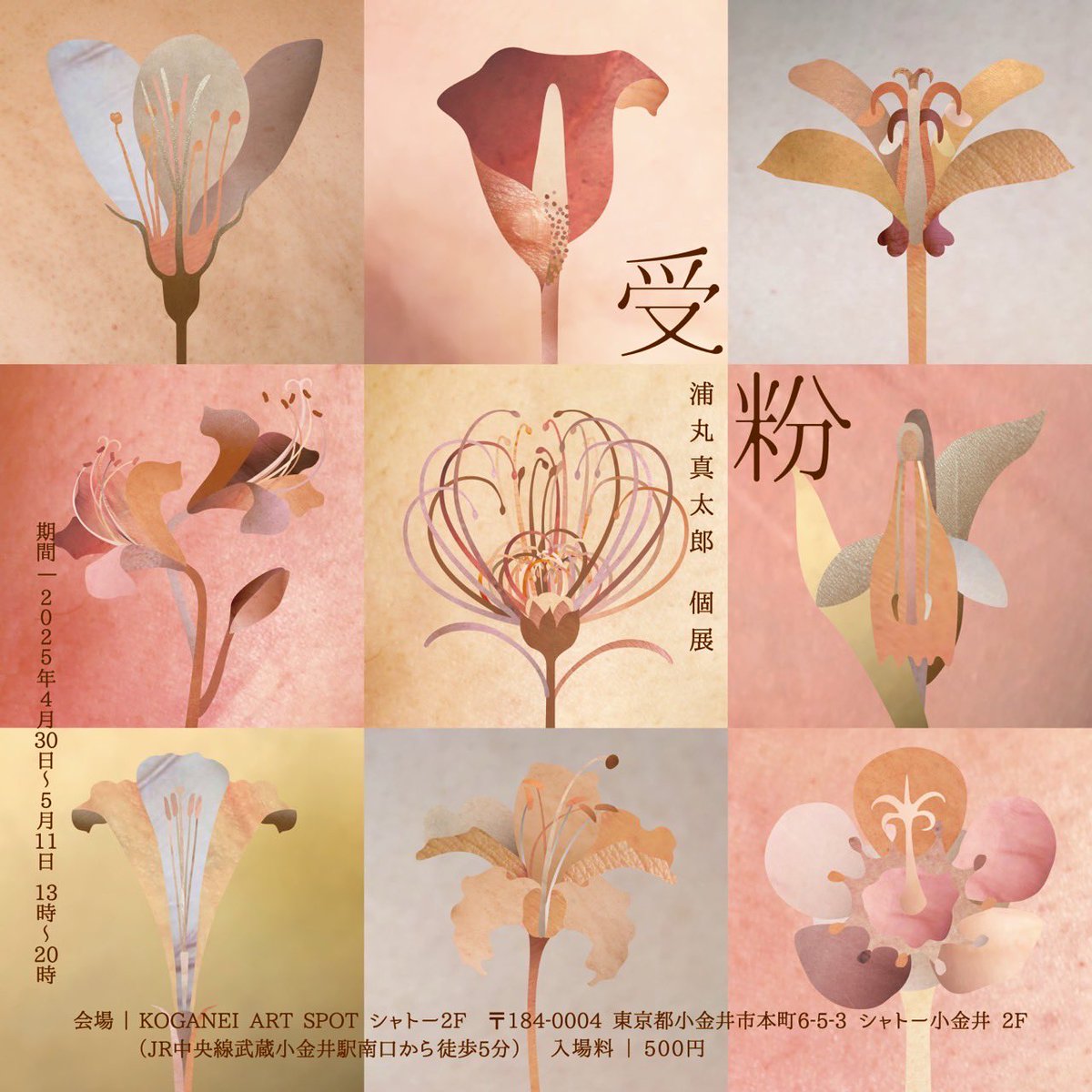 4月30〜5月11日、小金井アートスポット シャトー2Fにて、個展「受粉」を開催致します。脳性麻痺や頚椎損傷などの方に射精介助を行う〝セックスボランティア〟を通して向き合ったことを今回作品にしました。本展は性的な要素を多く含みます。ご了承いただき足をお運びください。artfullaction.net/gallery-event/…