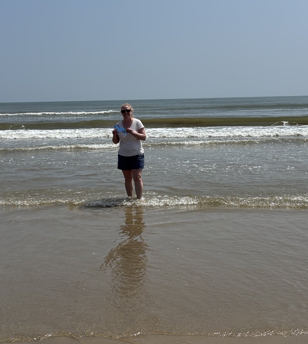 Flat Mustang tweet media