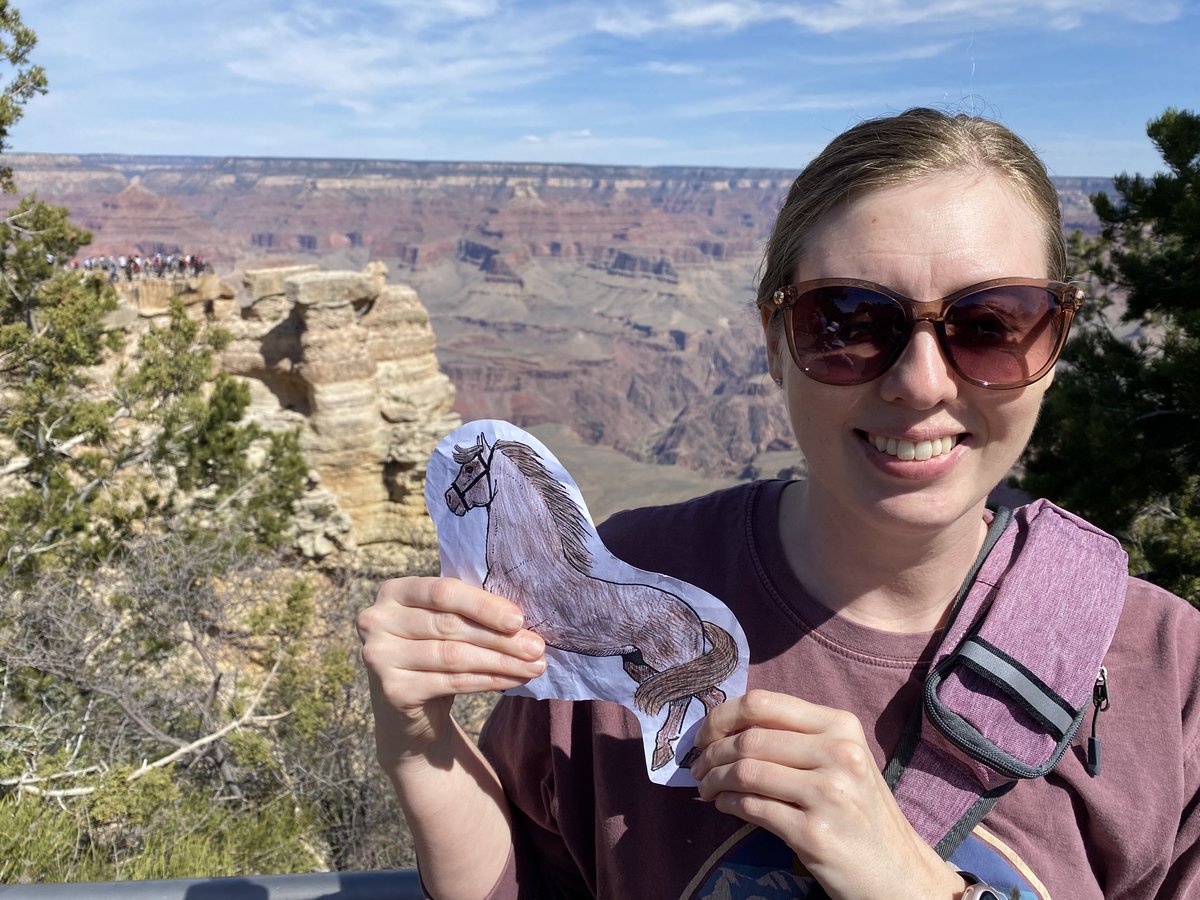 Flat Mustang tweet media