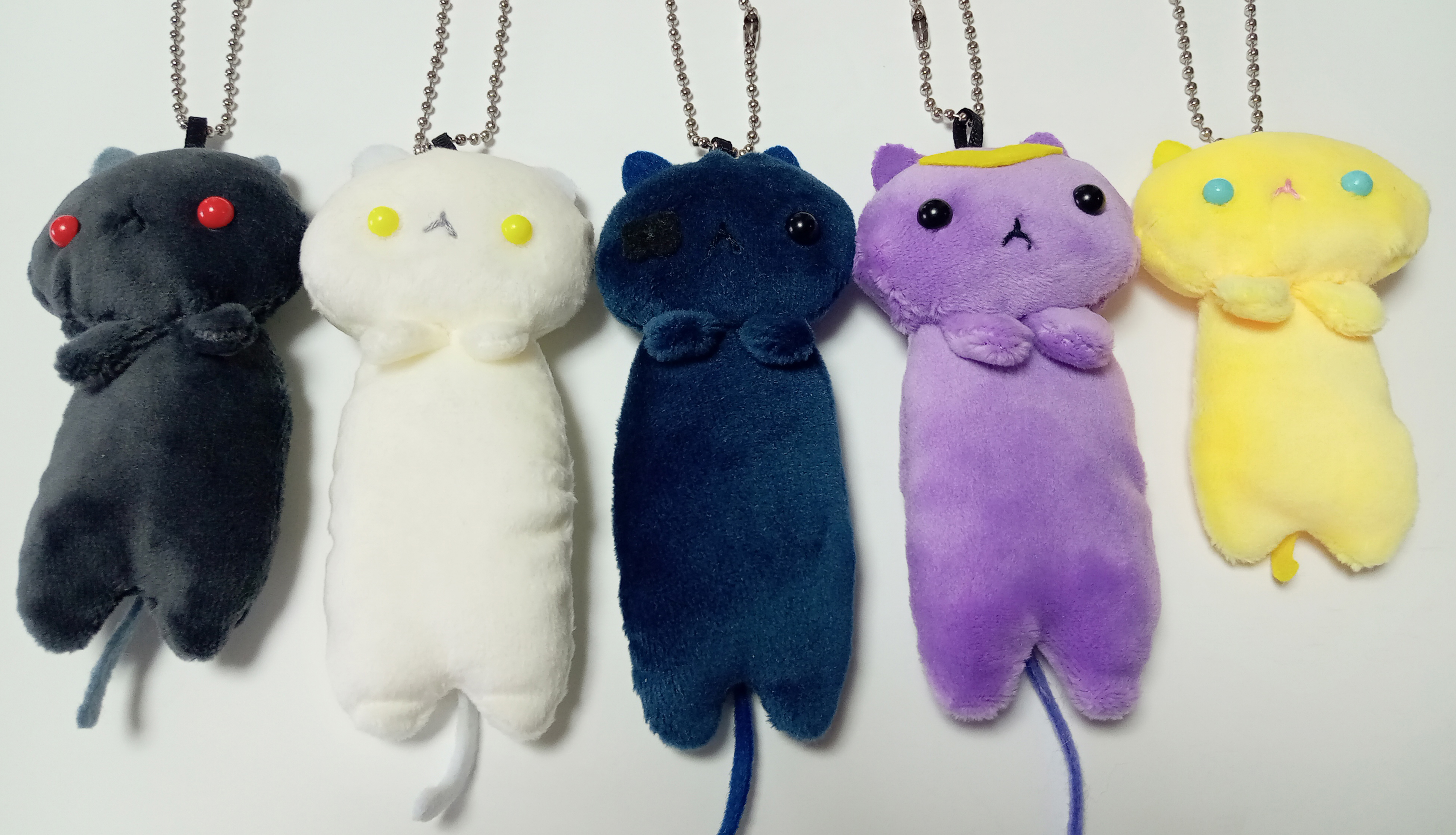 独眼竜ねこまさむね公式サイト - ねこまさむねニュース