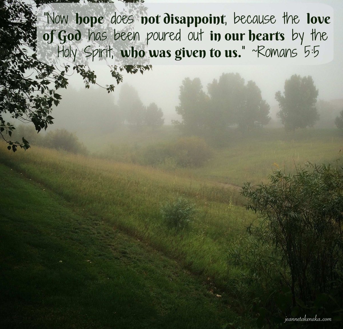 Are you as thankful as I am for God’s love? When we understand how deeply He loves us, we know He’s safe to place our hope in. He gives us his Holy Spirit to guide us through every trial. What love!

#hope #faithlife #perspective