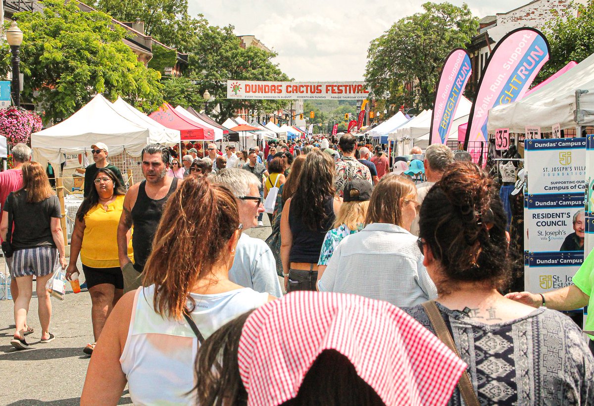 Cactus Festival tweet media