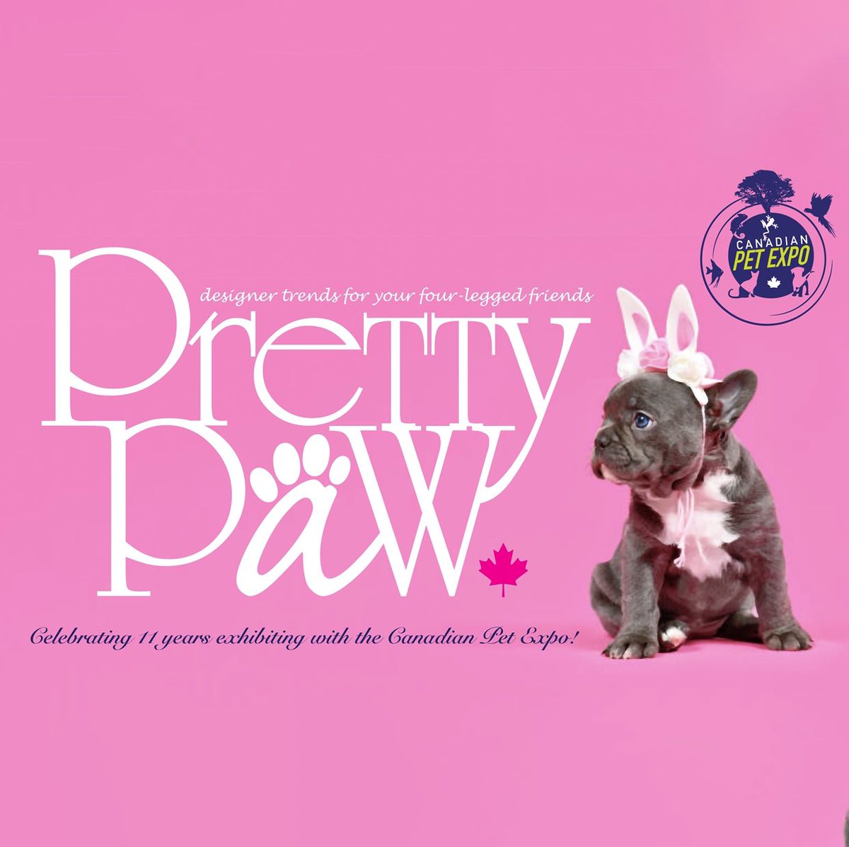 Pretty Paw tweet media