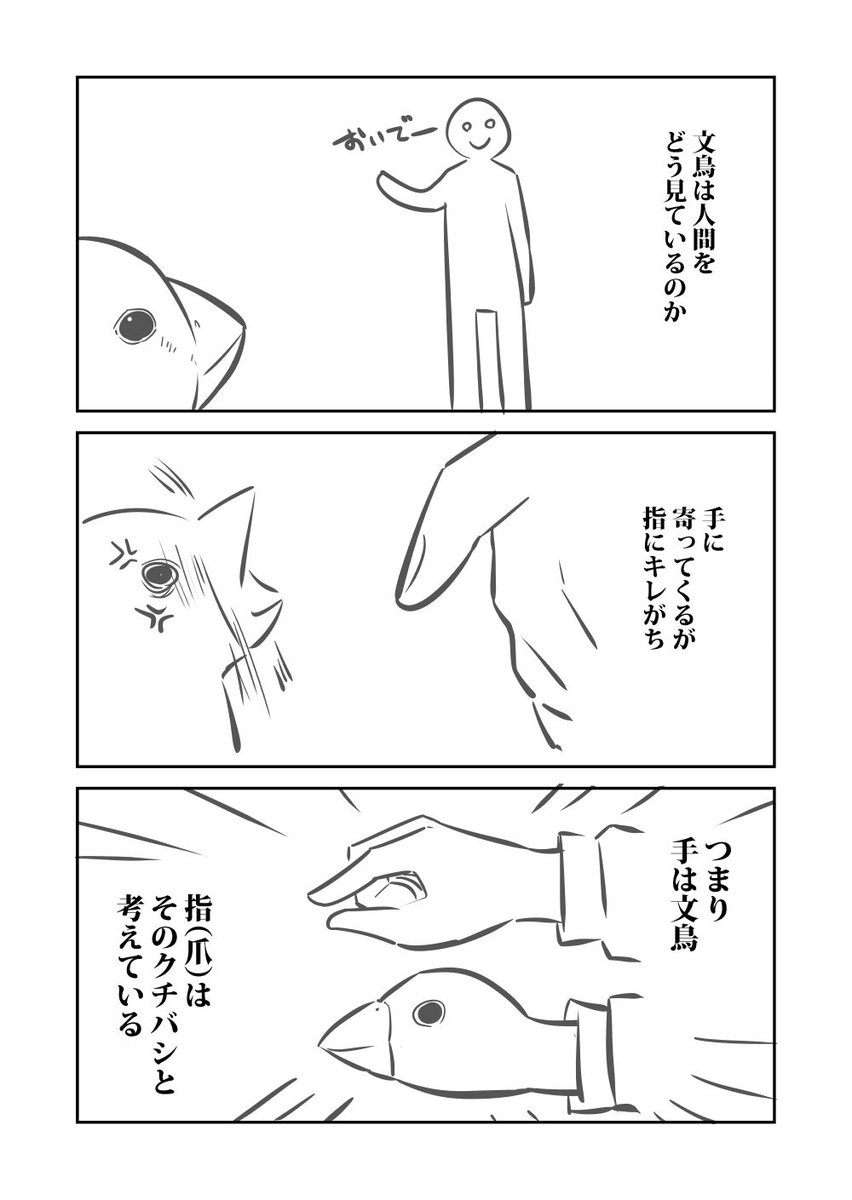 文鳥 