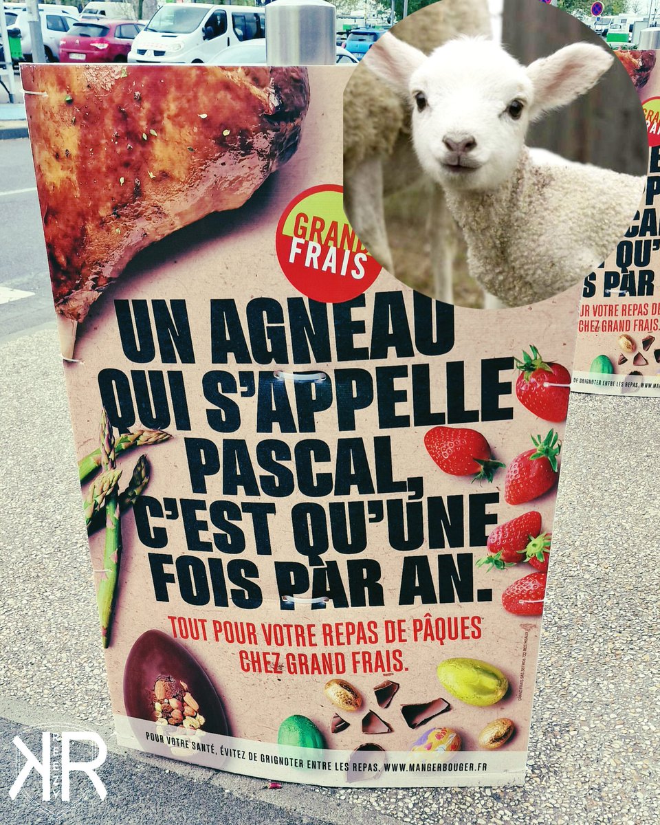 Cynique, indigeste de mauvais goût.
Voici Pascal, l'agneau. Regardez-le bien, Il va mourir pour notre "tradition". Il pleure sa mere et nous, on fête ça !
Les religions prêchent l’amour, pas la boucherie.
Stop aux sacrifices : #aïd, #pâques #pessah
La compassion ne se mange pas.