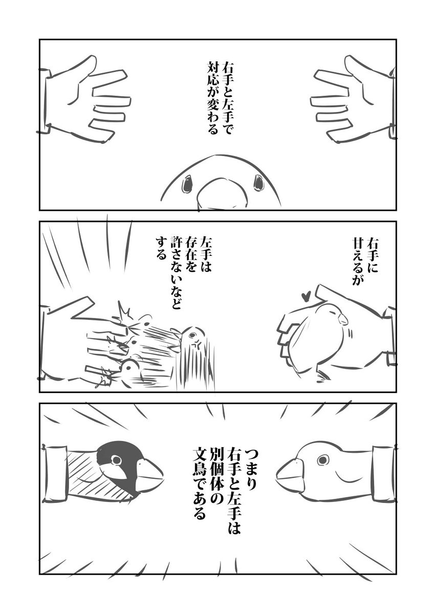 文鳥 