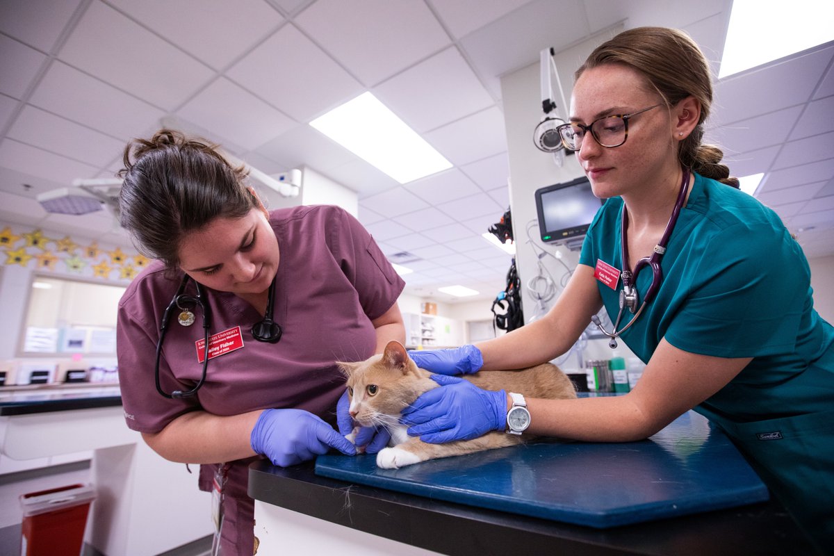 ISUVetMed's tweet image. CERTIFIED FACILITY. @ISUVetMed's Hixson-Lied Small Animal Hospital has recently been granted accreditation as a VECCS Certified Facility, a certification program for emergency vet clinics that provide exceptional emergency and critical patient care. #discoverdevelopdeliver