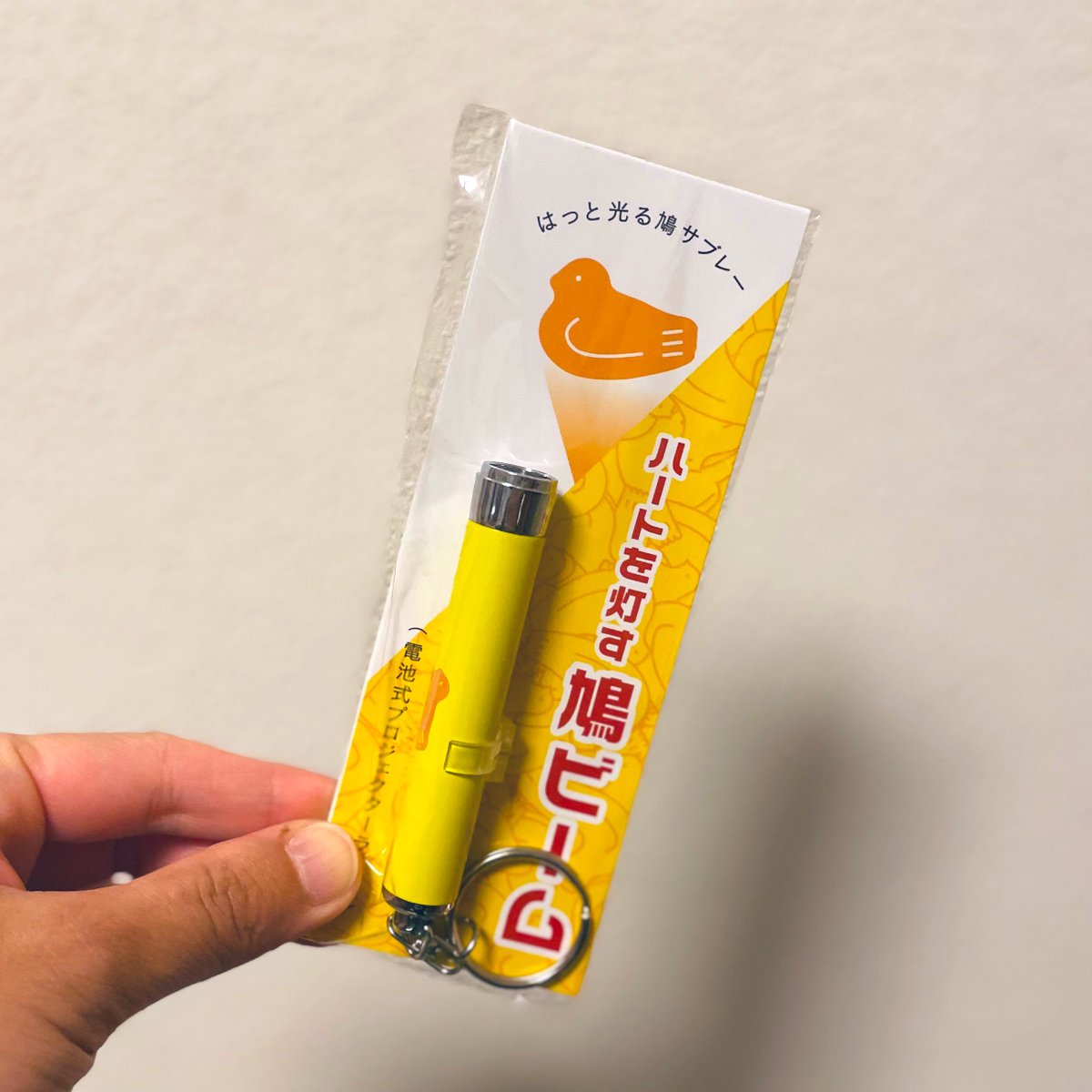 Ray_gr0505's tweet photo. お友達に代行で買って来てもらった
鳩サブレーが浮かび上がる鳩ビーム🐦‼️

使い方はこれで合ってますかw？？ https://t.co/ctgtOpdtsQ