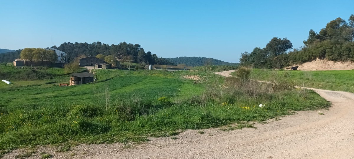 Solucions Geogràfiques SCCL tweet media