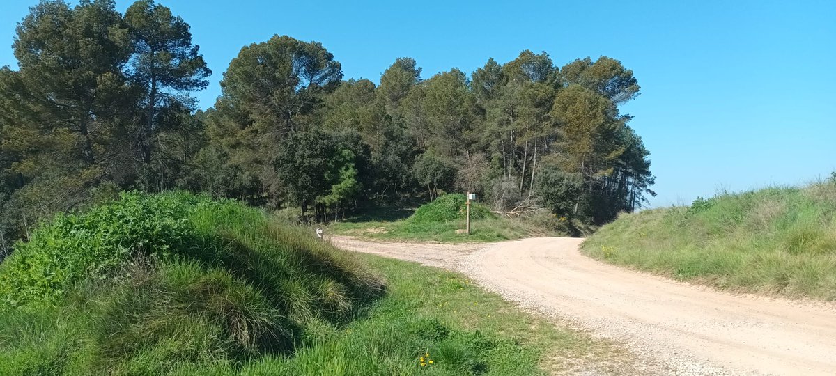 Solucions Geogràfiques SCCL tweet media