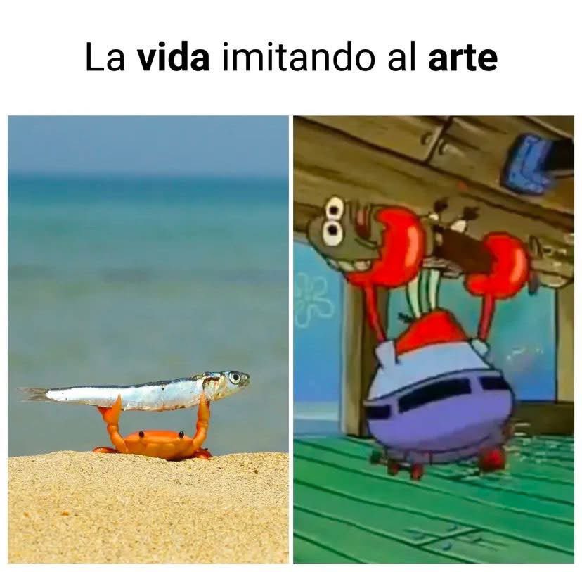 Cine puro 🗿
