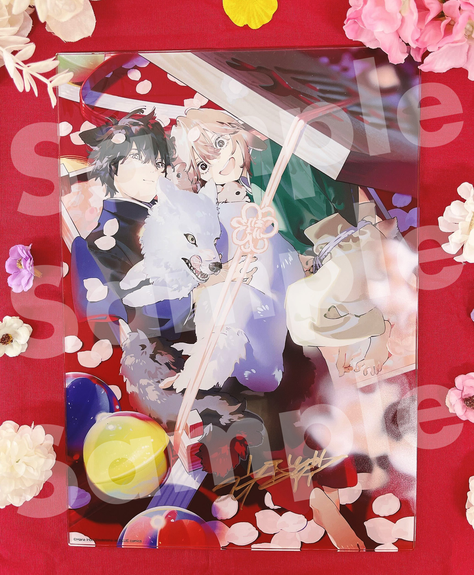 犬居葉菜 (@Hana_Inui) / X 犬居葉菜 (@Hana_Inui) / X
