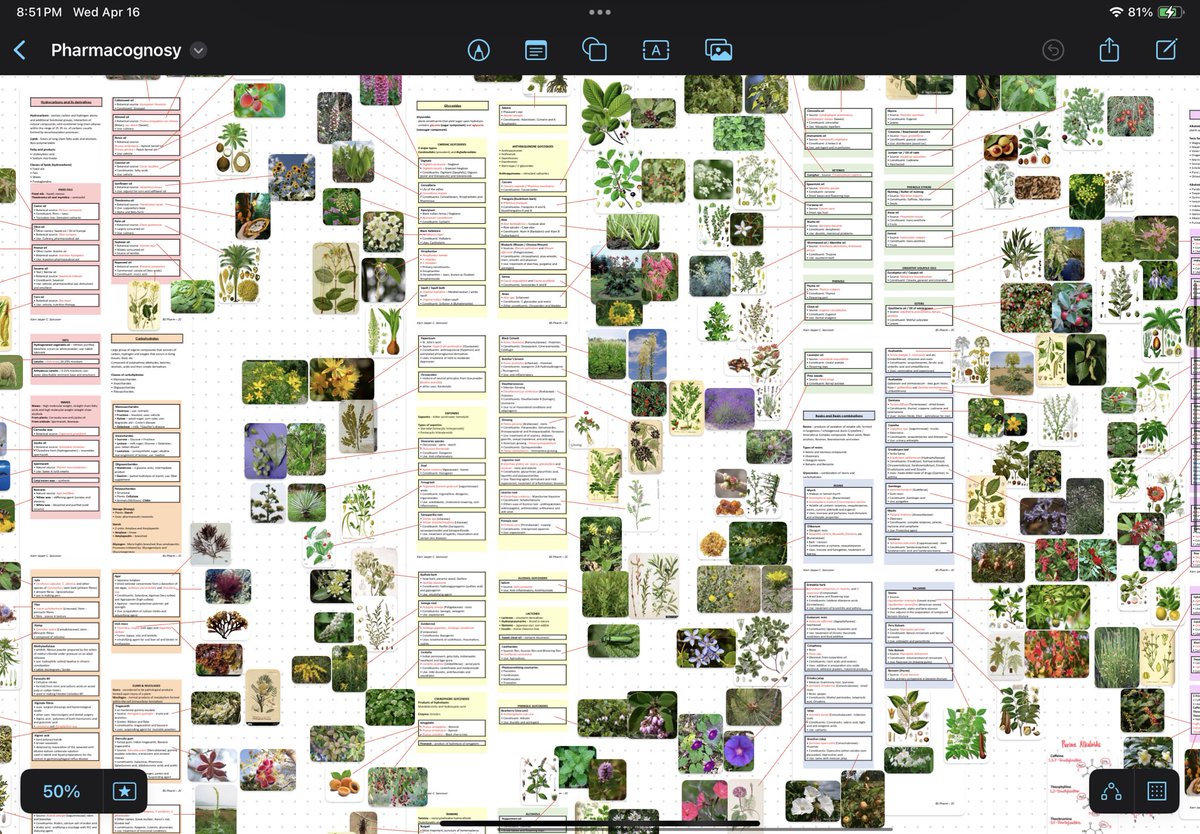 adrenocholine's tweet photo. Sharing my notes here for free, if messy mind maps and doodling is your thing. Please don’t redistribute or use commercially without my permission! These are products of my own labor of summarized lecture notes, but mostly from YouTube. 💊✨

https://t.co/nuAqk9jxcd https://t.co/vMD9ZktYcx