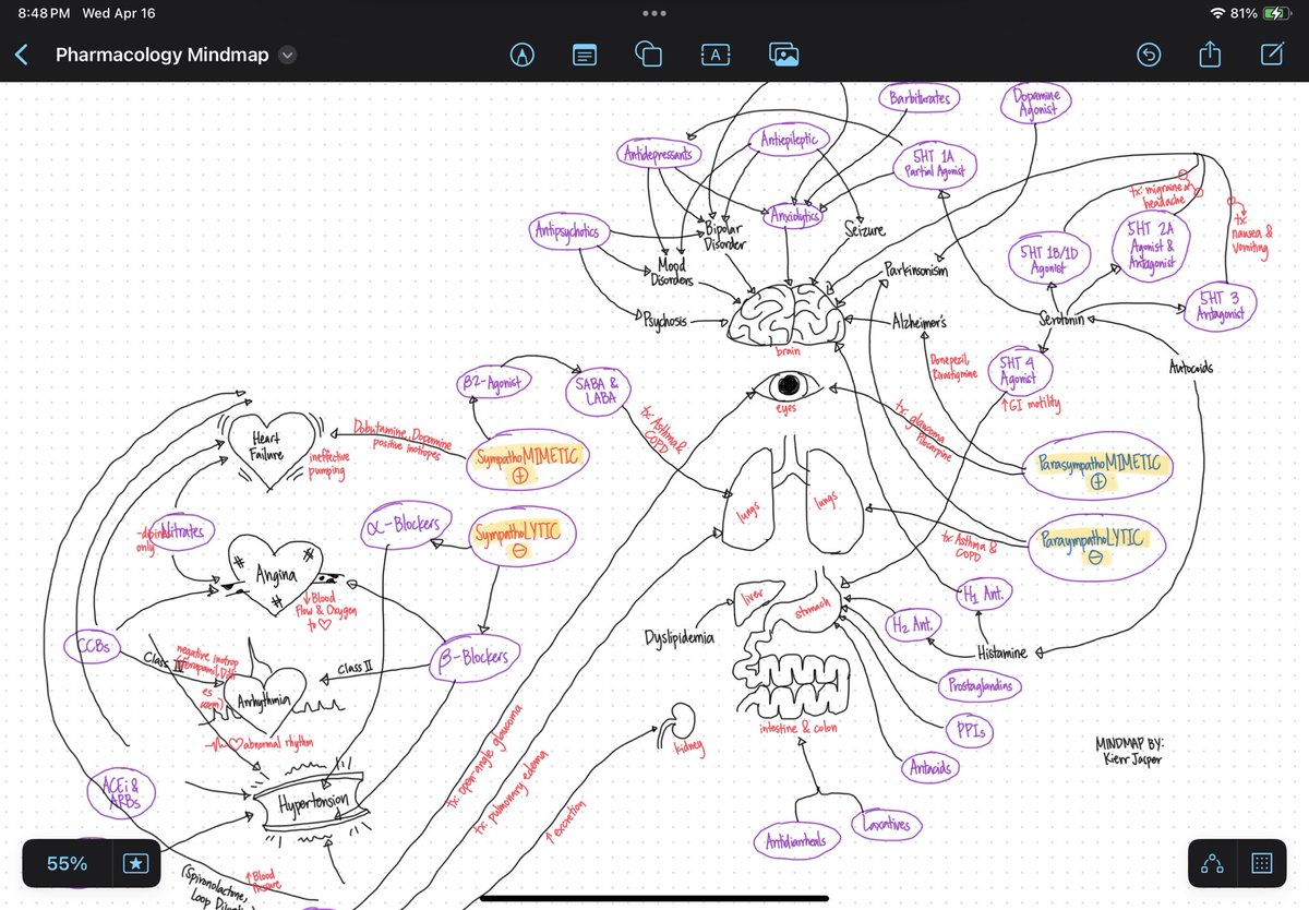 adrenocholine's tweet photo. Sharing my notes here for free, if messy mind maps and doodling is your thing. Please don’t redistribute or use commercially without my permission! These are products of my own labor of summarized lecture notes, but mostly from YouTube. 💊✨

https://t.co/nuAqk9jxcd https://t.co/vMD9ZktYcx