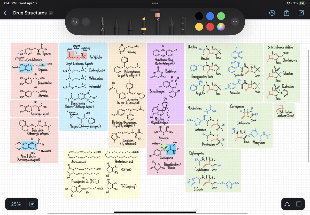 adrenocholine's tweet photo. Sharing my notes here for free, if messy mind maps and doodling is your thing. Please don’t redistribute or use commercially without my permission! These are products of my own labor of summarized lecture notes, but mostly from YouTube. 💊✨

https://t.co/nuAqk9jxcd https://t.co/vMD9ZktYcx