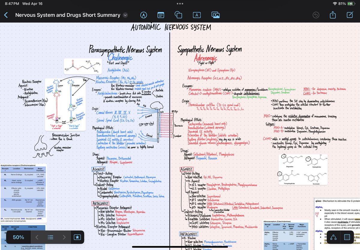 adrenocholine's tweet photo. Sharing my notes here for free, if messy mind maps and doodling is your thing. Please don’t redistribute or use commercially without my permission! These are products of my own labor of summarized lecture notes, but mostly from YouTube. 💊✨

https://t.co/nuAqk9jxcd https://t.co/vMD9ZktYcx