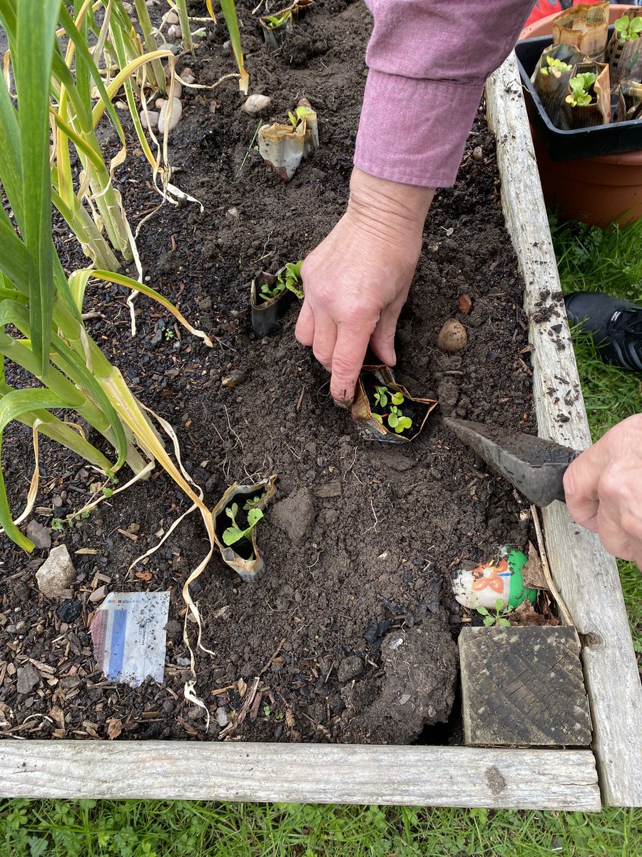 <a href="/TheLiveTeam_/">Live Team</a> 
<a href="/NottsHealthcare/">Nottinghamshire Healthcare</a> 
#TakeNotice
Some of the activities at the garden this chilly morning at Highbury Hospital, building &amp; painting bug hotels🎨 
Planting radish’s into raised beds 🪴