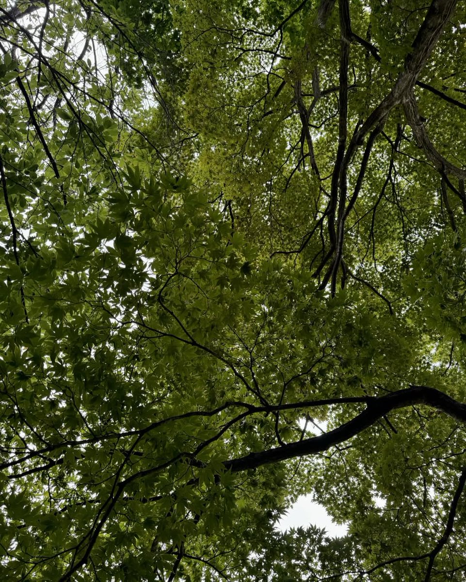 oh, what a pretty sunkissed! waking up to the gentle embrace of the morning sun, i find myself basking in its golden glow.