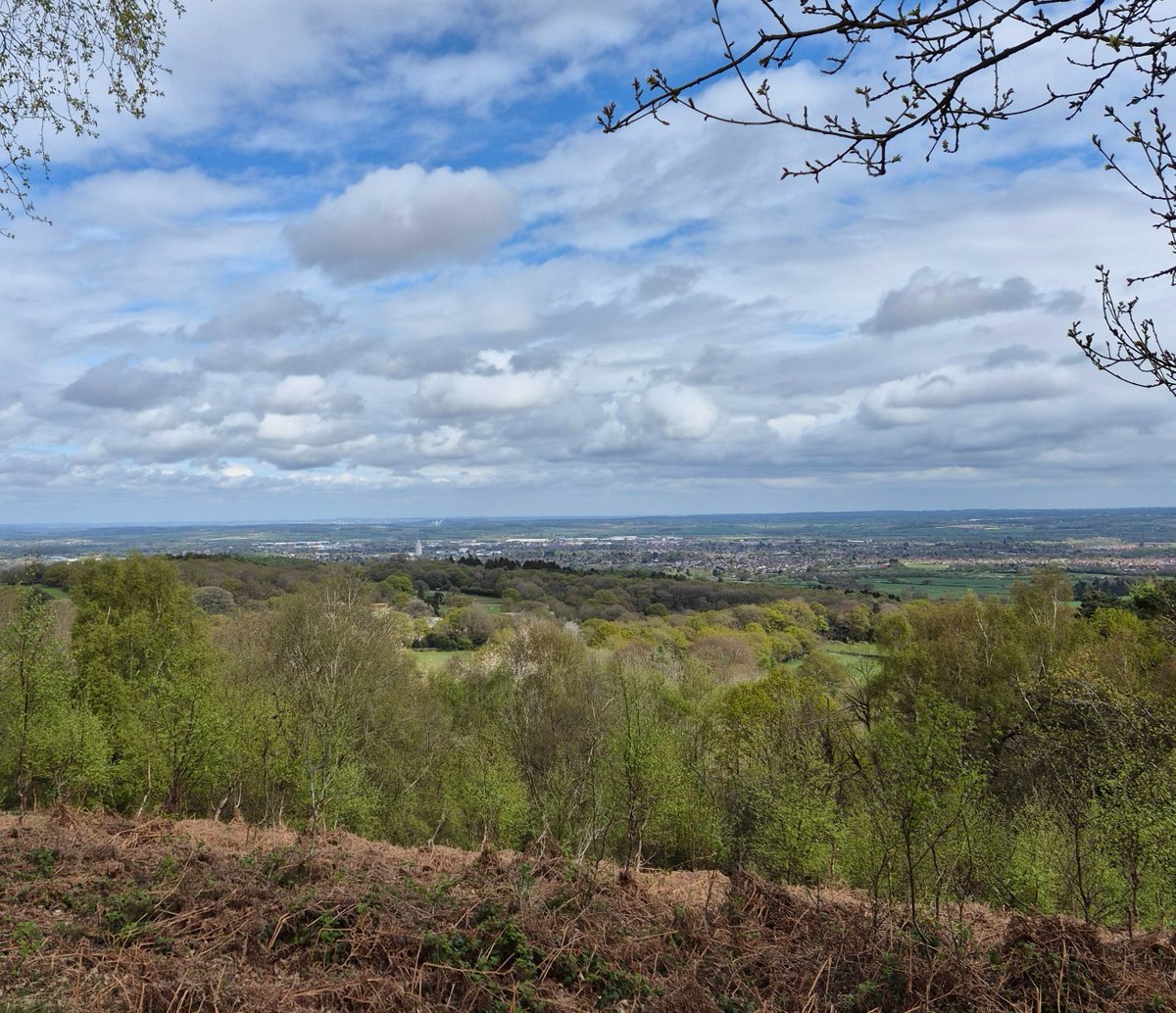 visit_leicester's tweet photo. Just some of the beautiful sights of Beacon Hill. From the wildlife to the ancient volcanic rocks, this country park is the perfect place to explore the beautiful Leicestershire countryside. 

#Leicestershire #CountryPark #ExploreNature #CountrysideViews https://t.co/I8pjqDARr3
