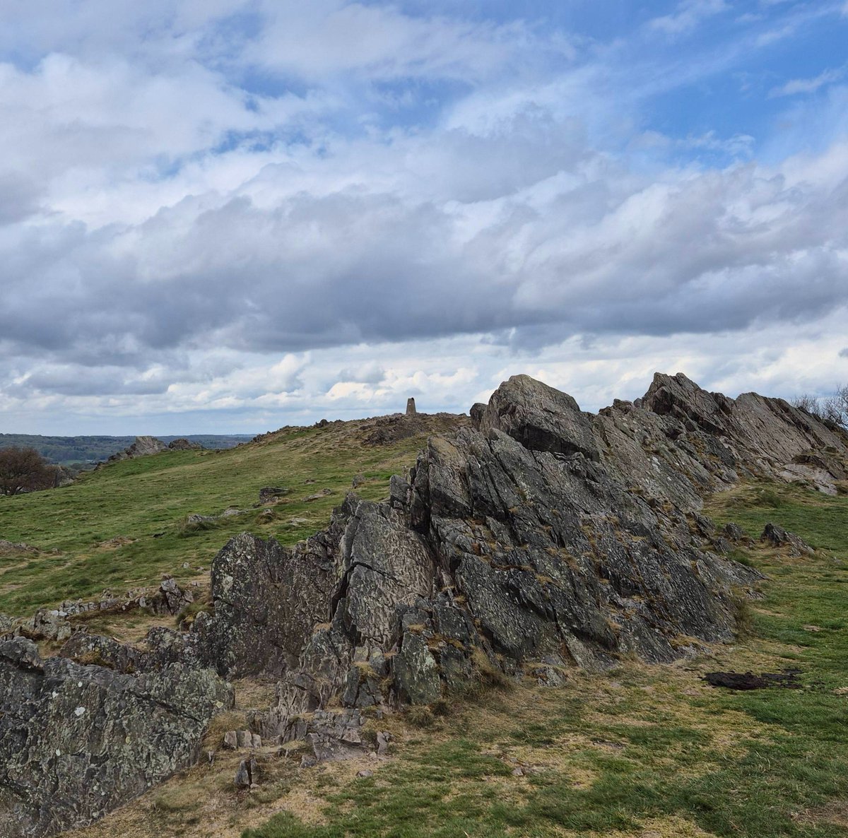 visit_leicester's tweet photo. Just some of the beautiful sights of Beacon Hill. From the wildlife to the ancient volcanic rocks, this country park is the perfect place to explore the beautiful Leicestershire countryside. 

#Leicestershire #CountryPark #ExploreNature #CountrysideViews https://t.co/I8pjqDARr3