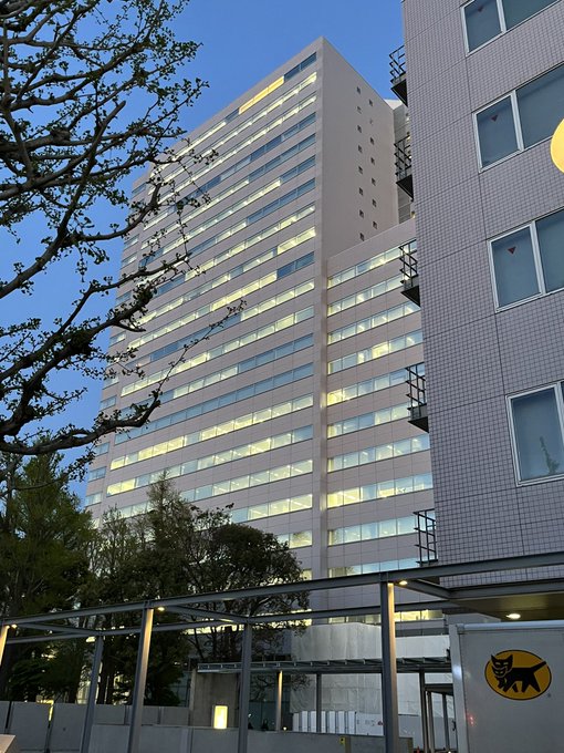 秋田書店の新しいオフィス行ってきたすごい綺麗だったあと焼肉死ぬほど食べさせてもらったご馳走様でした 