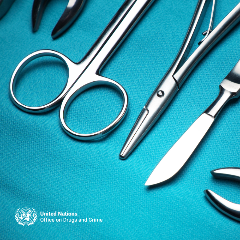 UNODC_OrgCrime's tweet photo. More than 150,000 transplants are performed annually worldwide. 

Human trafficking for organ removal is a form of trafficking in which individuals are exploited for organs.

We shed light on what is known and unknown about this hidden crime.

#EndHumanTrafficking
