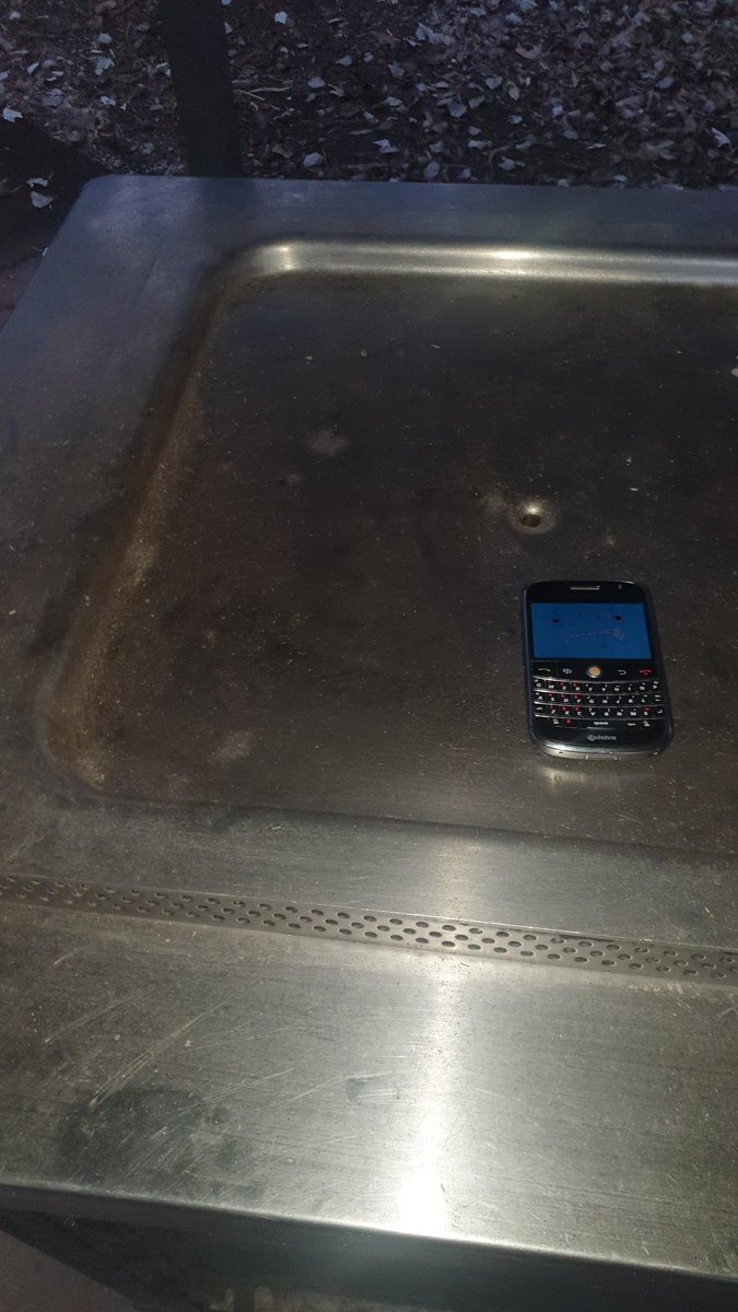 How do i cook scag outside #scagregretevator #Regretevator