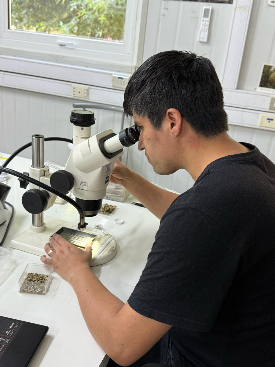 Proyecto busca describir el registro fósil de peces del centro y sur de Chile

ciencias.ucsc.cl/noticias/proye…