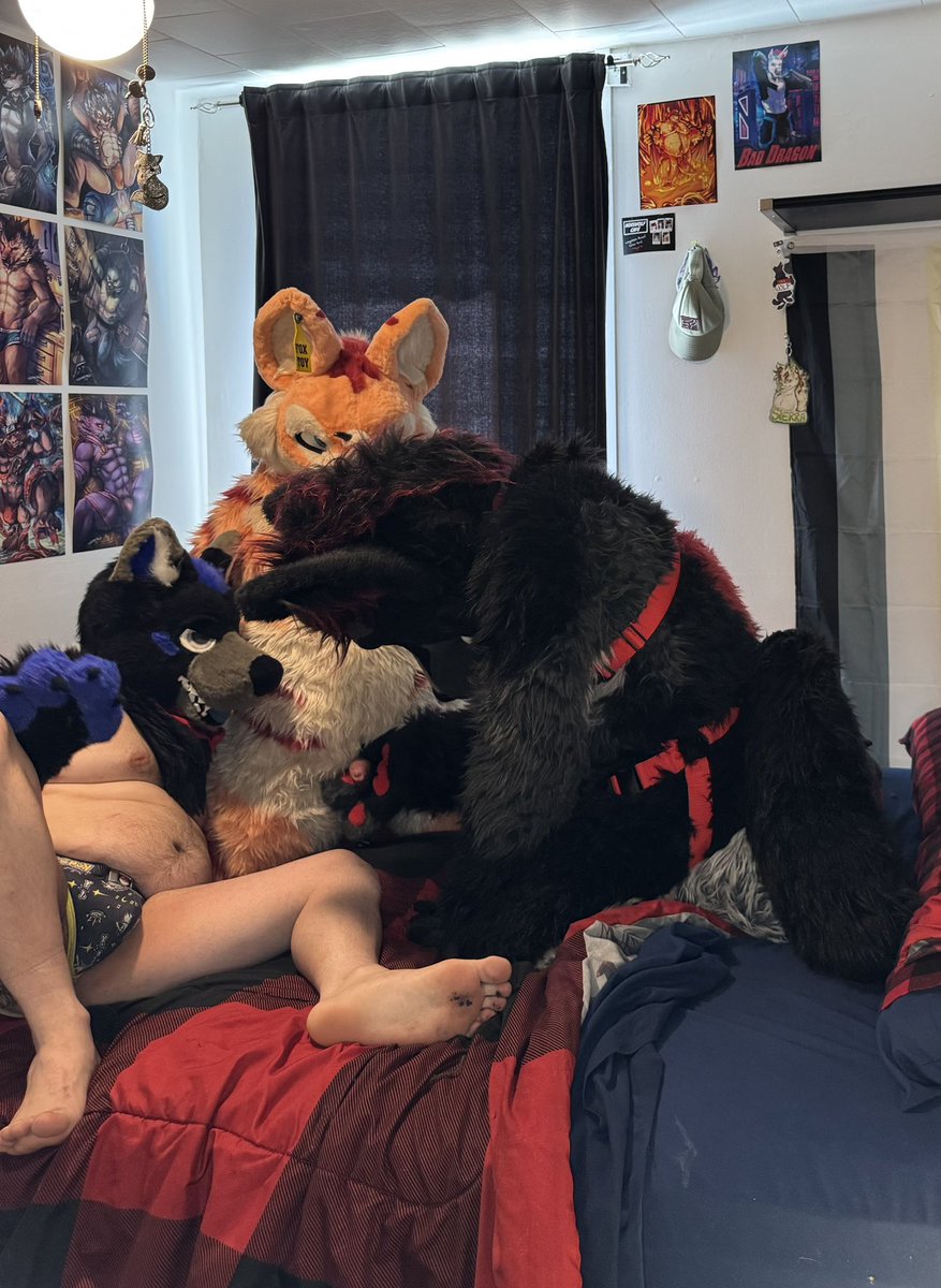 That big wolf <a href="/Koroad666/">Koro AD</a> found a cute fox bone to play with
🦊:<a href="/MuzoFox/">Muzo Fox</a>
🐺:<a href="/SkywayWolf/">Skyway</a>

#furry #furries #fursuit #fursuiter #murrsuit #murrsuiter #fox #fennecfox #foxtoy #cute #paws #butt #furryfandom #furrycommunity #fursuitfriday #fapfap #masturbate #furryporn #cock #naughty
