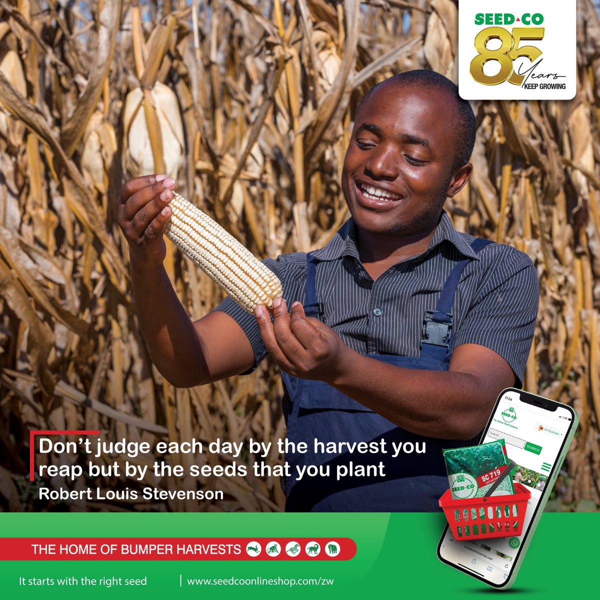 Wisdom Wednesday
Every step in the field counts, even when the harvest isn’t in sight yet.
Let’s keep sowing with purpose, and "trust the process".
Avoid harvesting when it’s wet or raining to reduce mold and fungal contamination.
Download the Seedney app for more harvesting tips