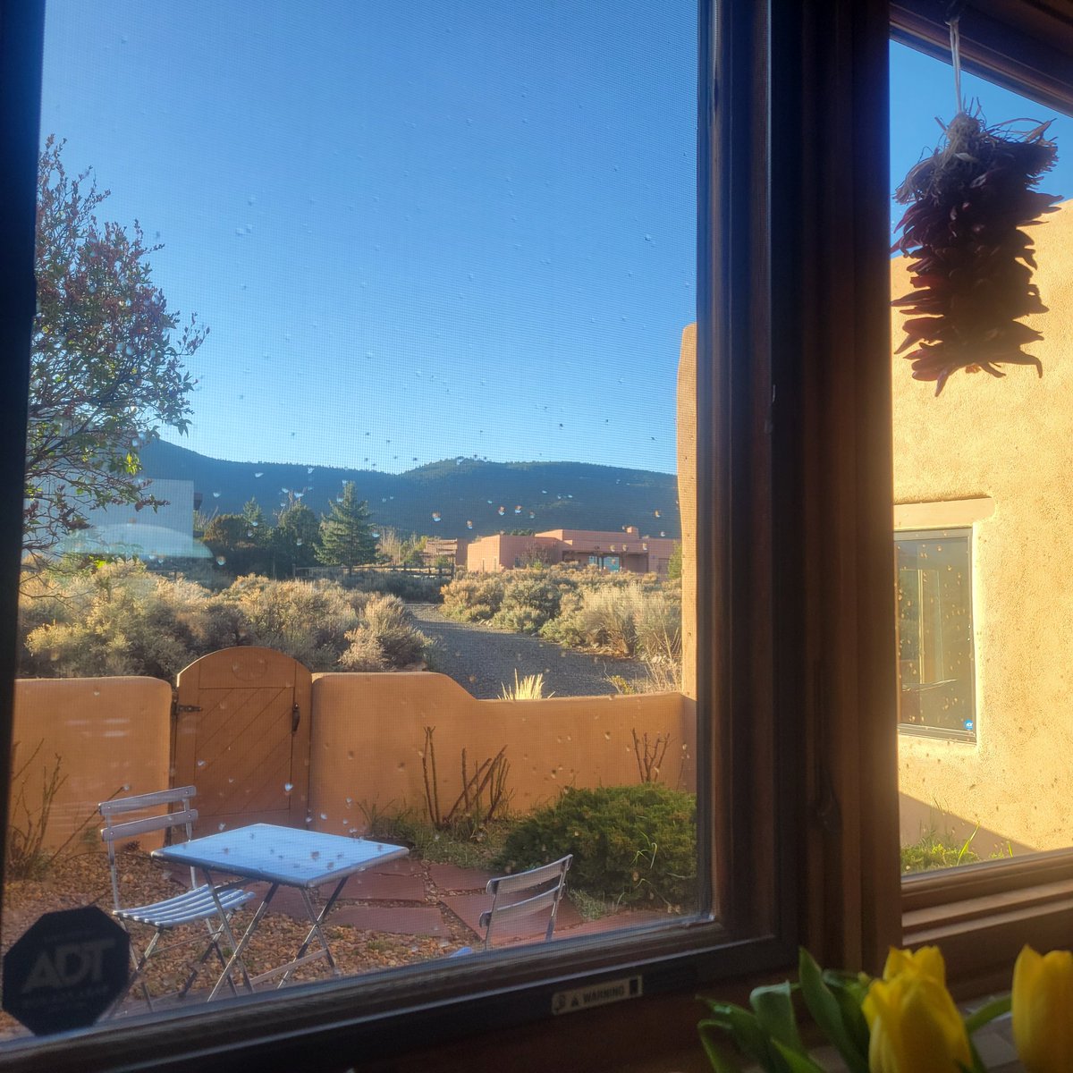 LeslieASpurlock's tweet photo. Gm gm! I'm in Taos currently at tge new house. I won't be active much at all over the next week, and I won't be responding to notifications. I'll be sure and post my thank you's when I get back to Dallas. Hugs and love! Have a great day! 

Views from our new house https://t.co/Zvl1uLDvWi