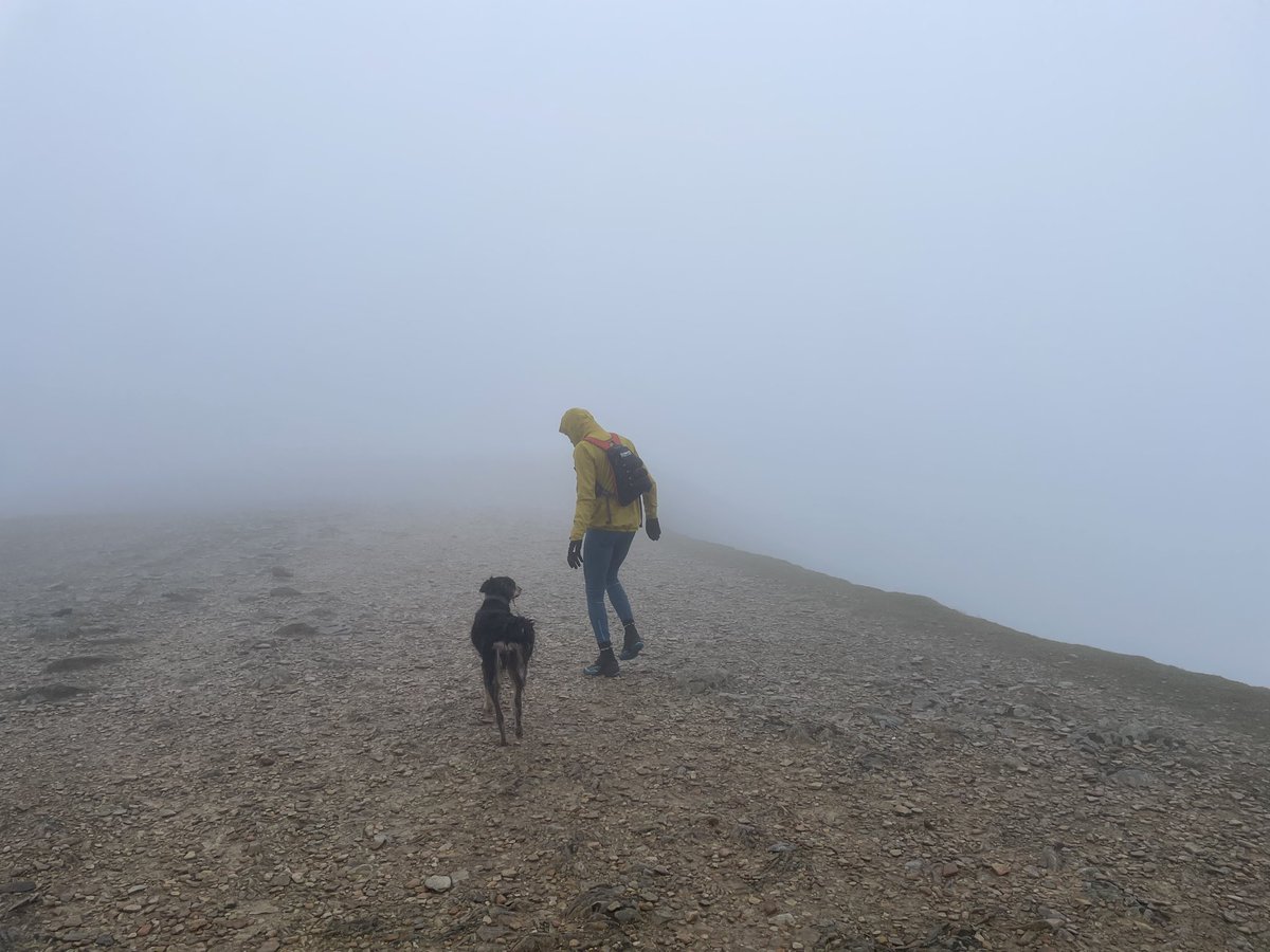 LakesWeather's tweet image. Todays fell-top report is now live at lakedistrictweatherline.co.uk/_nocache
Challenging conditions up high today, damp and cold! Be well prepared if heading out and stay warm! Paddy 👍😁
#summitsafely @lakedistrictnpa