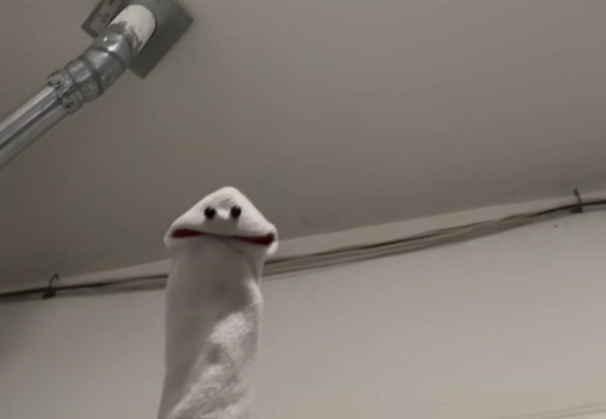 NKuxota's tweet photo. Why do you hate me so mr spotify sir. https://t.co/HhMCksEgQc