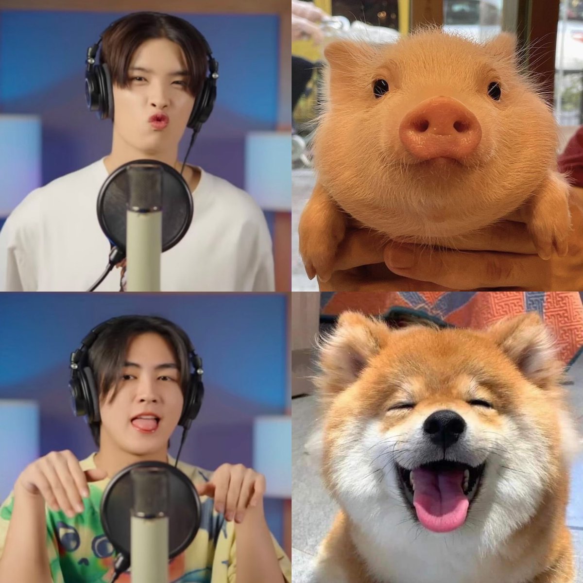 คนนึงทำหมู คนนึงทำหมา อืมเข้าใจทุกอย่างแล้วค่ะ มีแฟนให้ล้อก็เลยล้อแฟนอะเนอะ