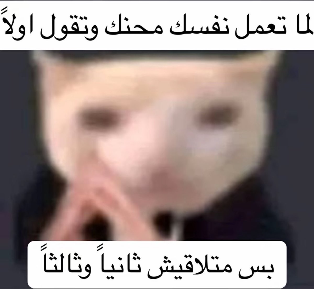 Ammar Of Rivia (@rebhfun) on Twitter photo 