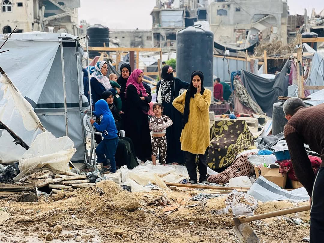 mayceosmithii's tweet photo. 🇵🇸نداء لإنقاذ أهلنا في غزة 🇵🇸 
يحتاج أهلنا هناك إلى دعمكم في توفير الخيام والحماية لنتحد جميعاً ونظهر solidarity معهم في محنتهم (ساهموا وشاركوا!) للتبرع والاستفسار  .👇🏽📞
https://t.co/N7jpQX7aMr📩
 #غزة #حملة_تضامن
#الذهب #خور_عبدالله #أحمد_الشرع #โหนกระแส #โตโน่ภาคิน #โตโน่ https://t.co/G97aBdE1gh
