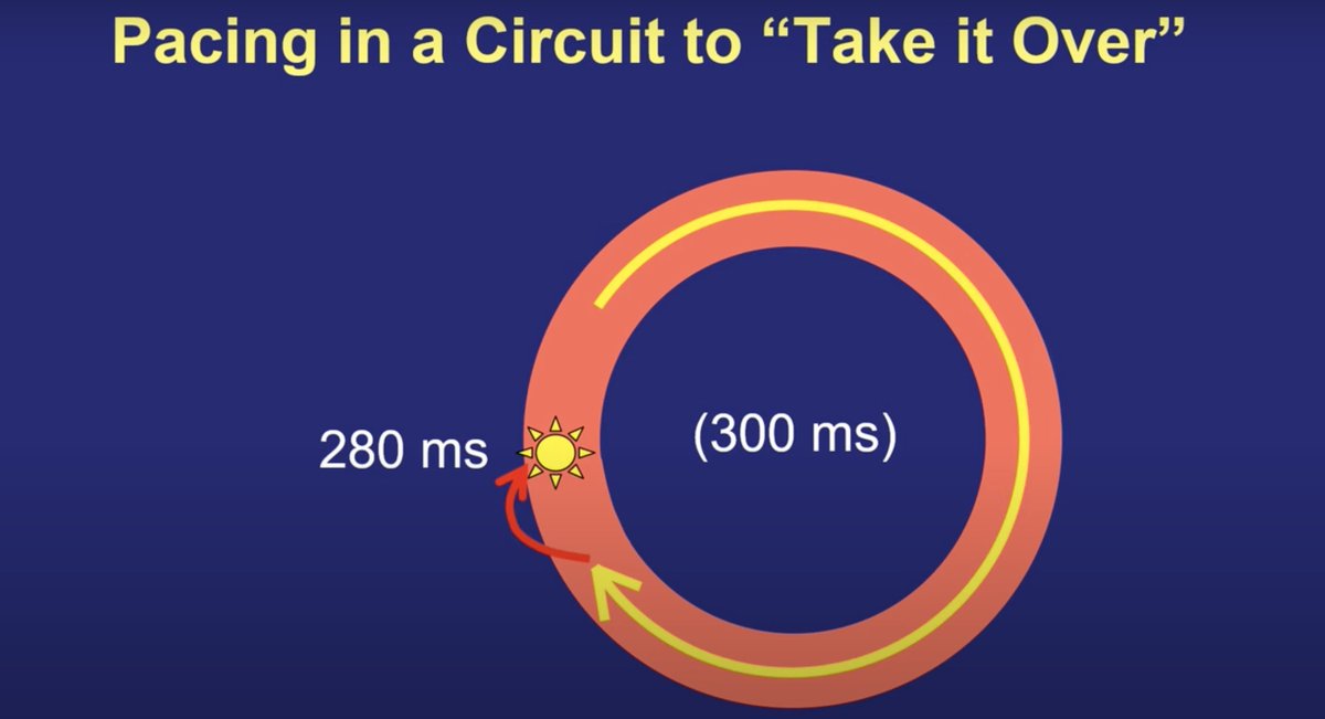 Dr. Zhong tweet media