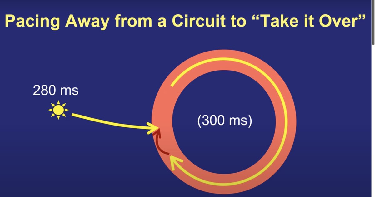 Dr. Zhong tweet media