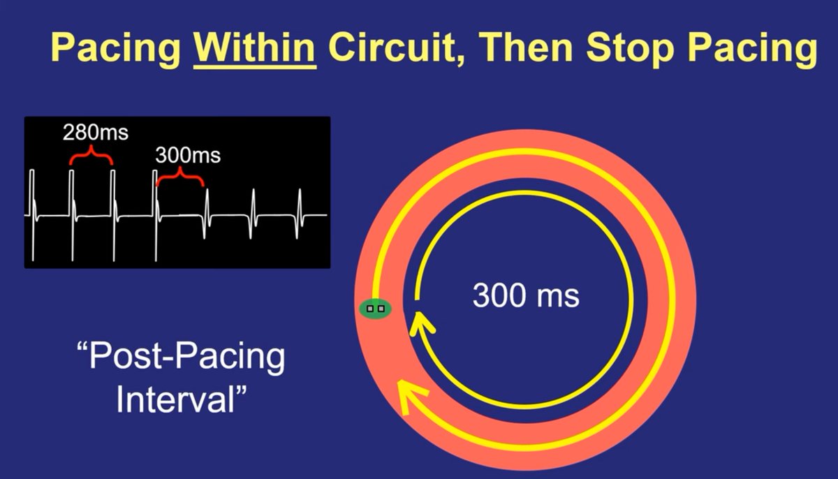 Dr. Zhong tweet media