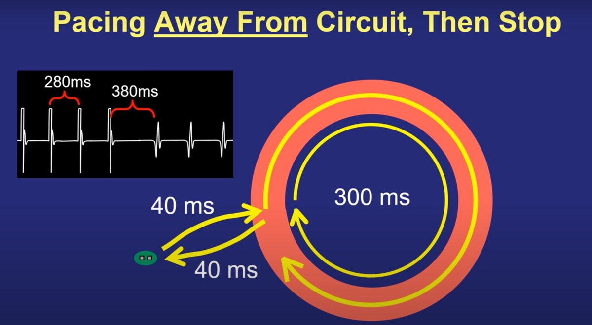 Dr. Zhong tweet media