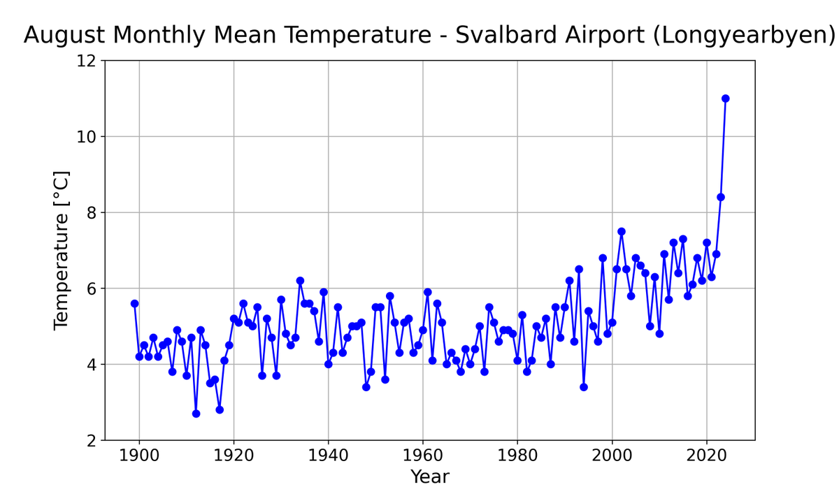 Daan van den Broek tweet media