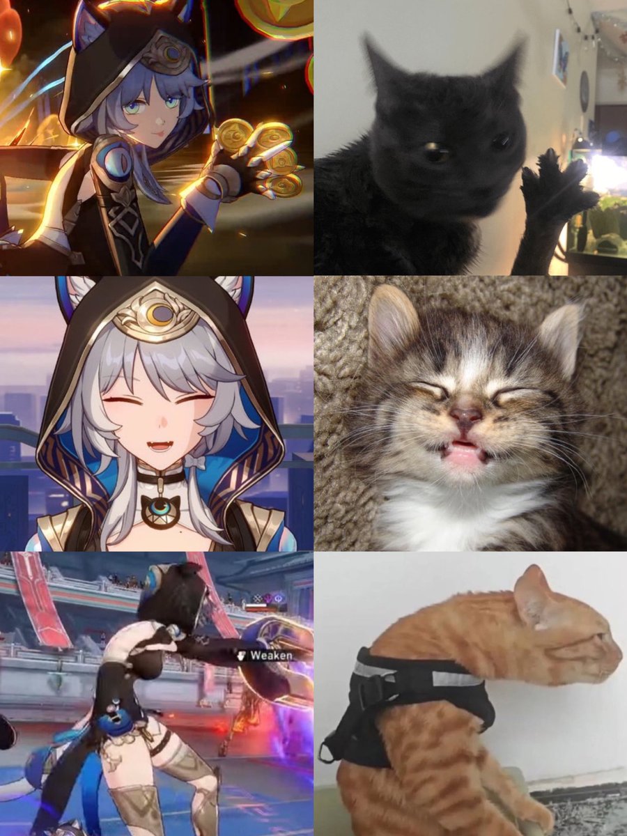 acheswaan's tweet photo. The holy trinity of cipher-cat comparisons https://t.co/tdRfvKmySA