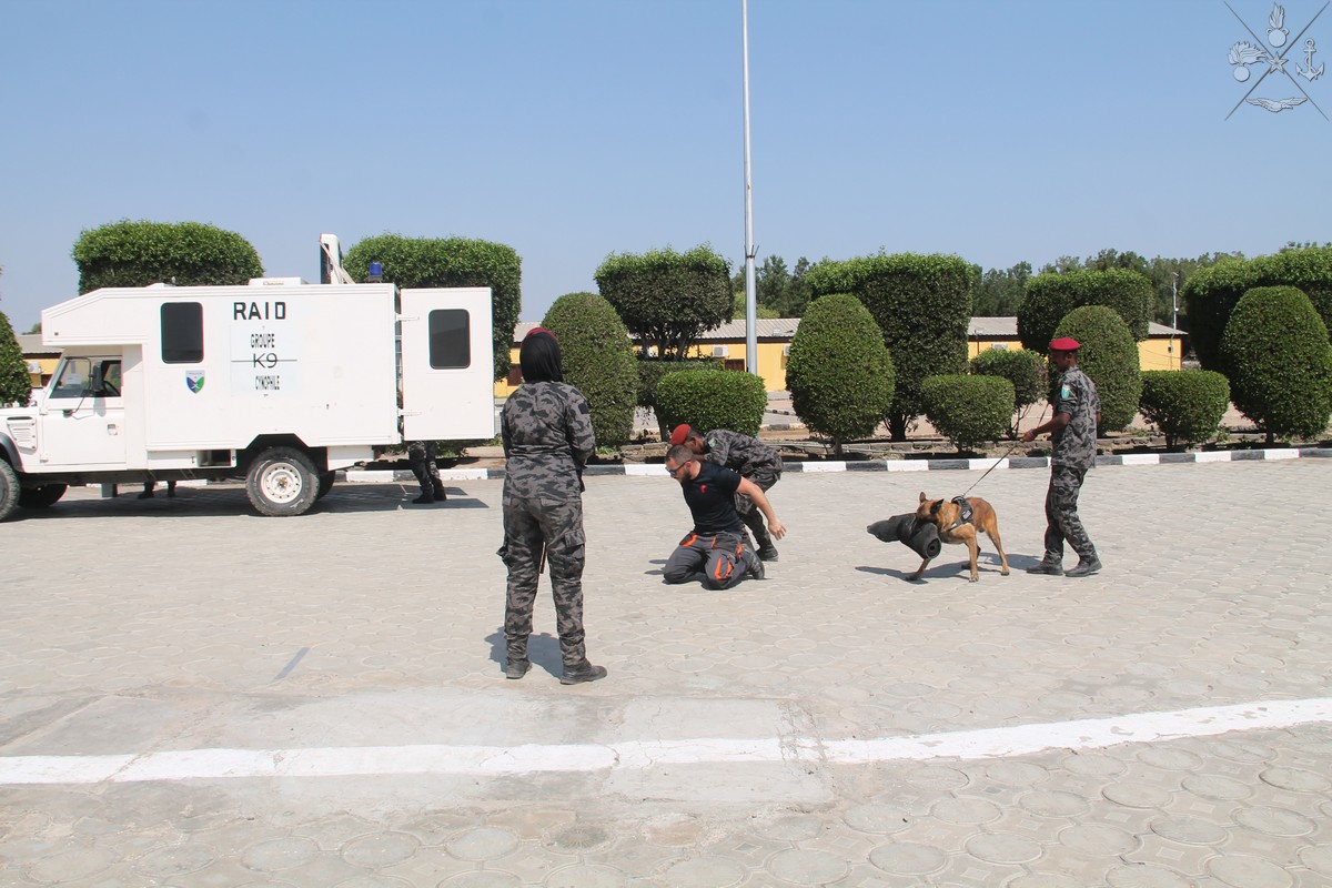 SM_Difesa's tweet photo. I #Carabinieri della missione #MIADIT Somalia 22 hanno concluso i corsi per ricerca di sostanze stupefacenti/esplosivi per unità cinofile e di tecniche di indagine contro criminalità organizzata/terrorismo a favore della Polizia gibutiana
➡️ https://t.co/yiKQZjzatV
#ForzeArmate🇮🇹 https://t.co/j8AbbjvcBD